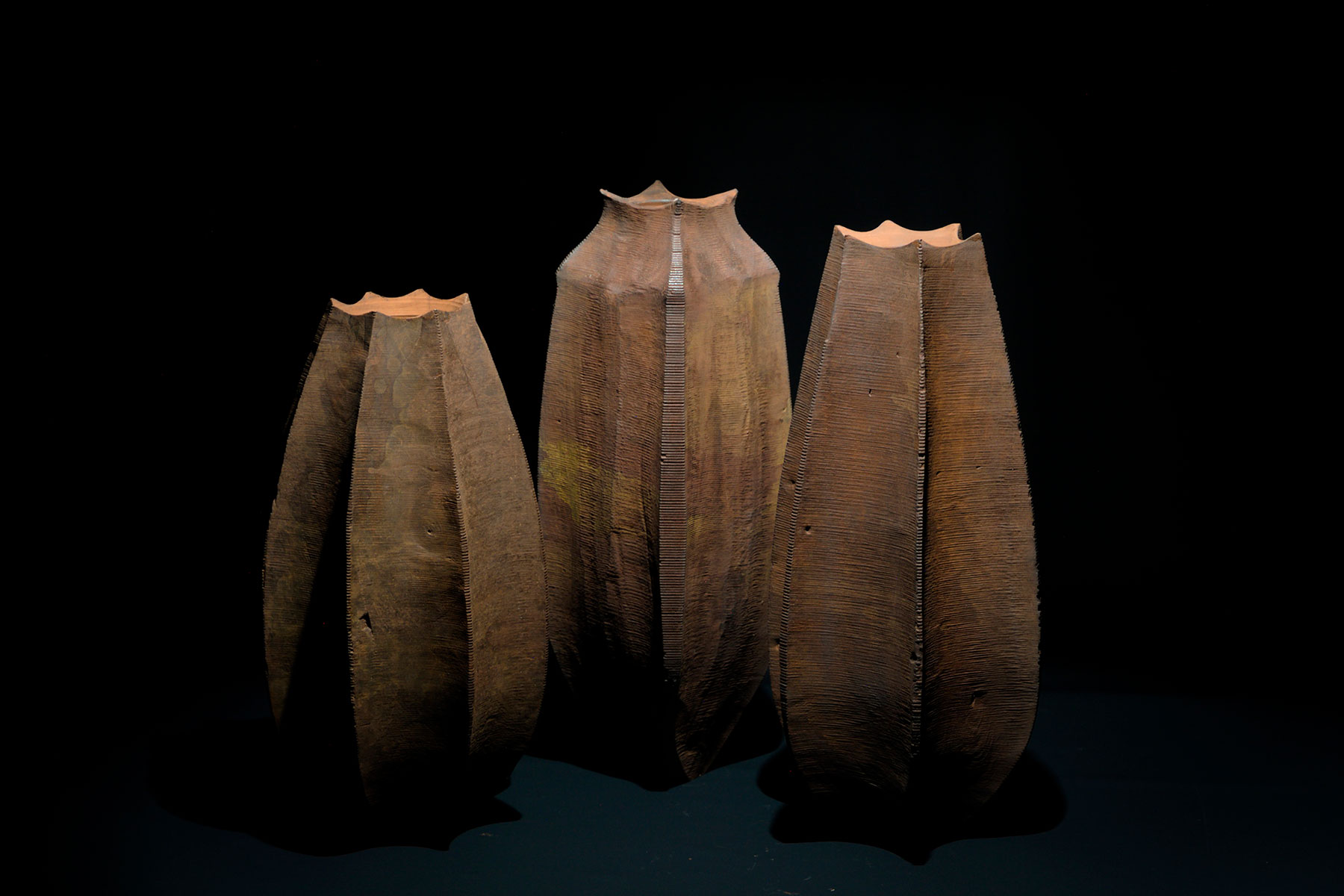 Lorenzo Franceschinis Sculptures Ctenophora wood shellac iron Italiano Plurale