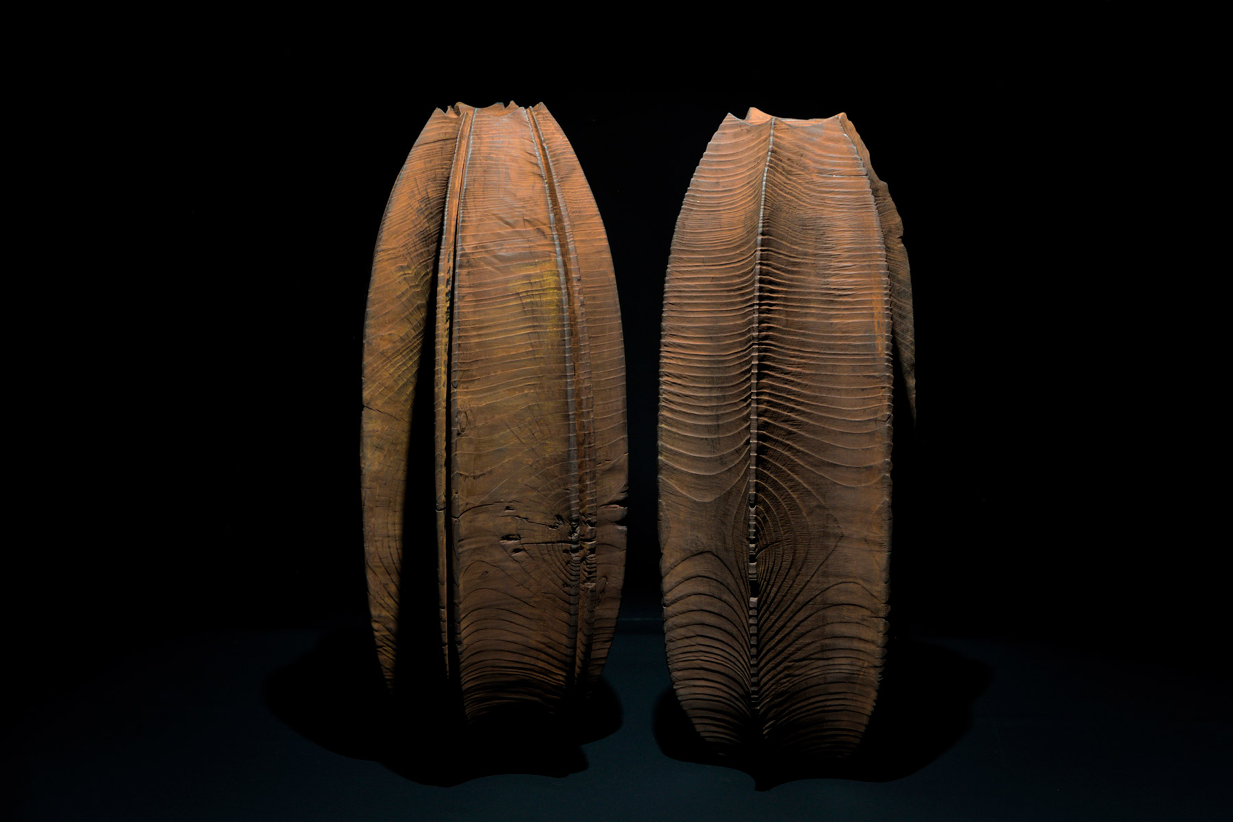 Lorenzo Franceschinis Sculptures Ctenophora wood walnut shellac iron oxide tung oil graphite