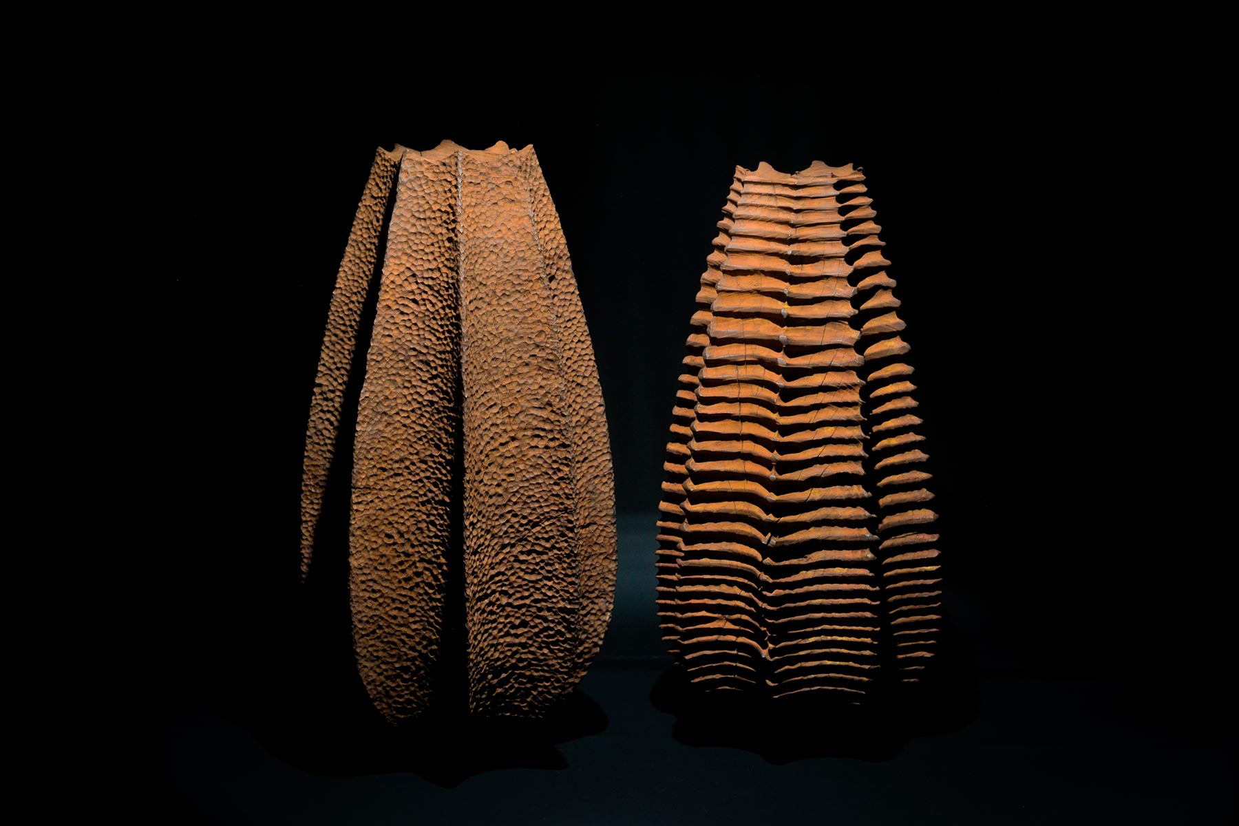 Sculptures Ctenophora wood walnut shellac iron oxide tung oil graphite Lorenzo Franceschinis
