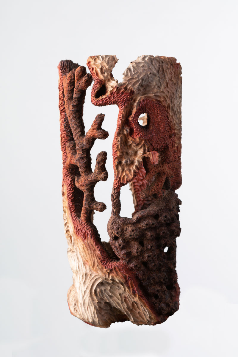 Riccardo Masini Wood Sculpture Coral Collection Ceratonia silique Italiano Plurale