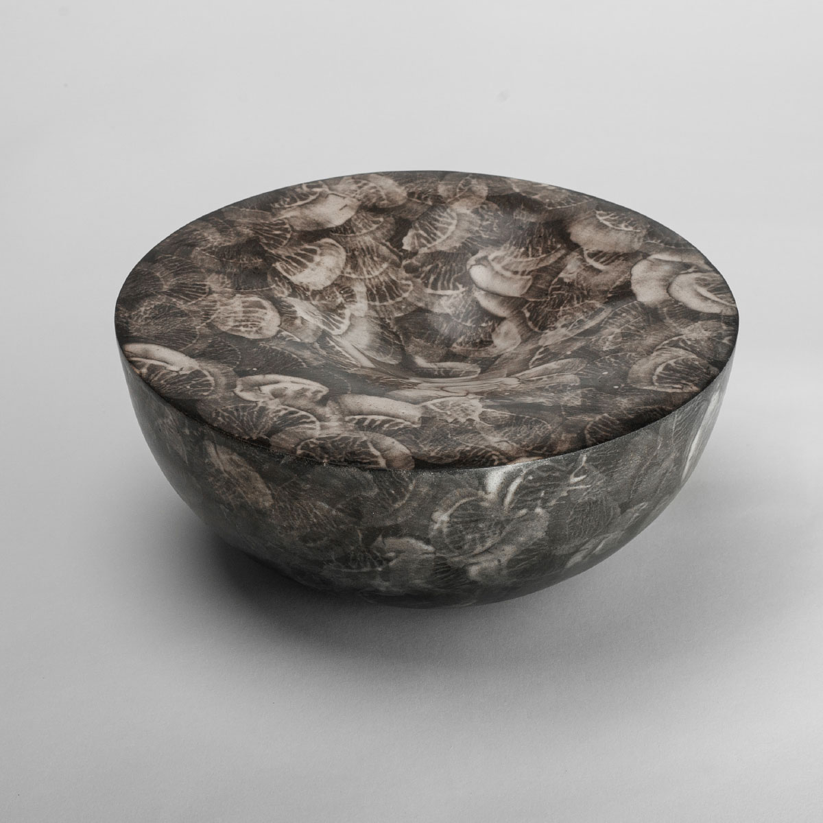 bowl soft fossils white semirefractory clay Lara De Sio
