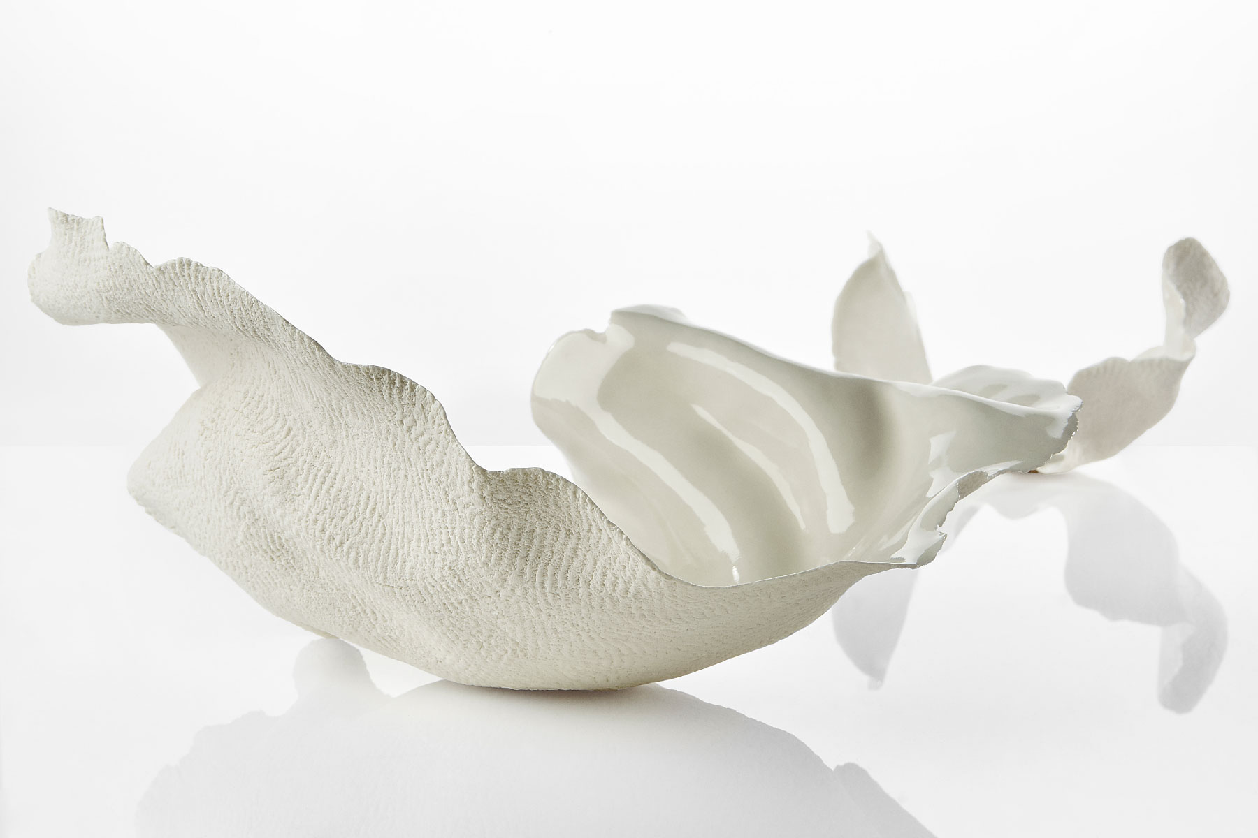 Livia Marasso Oysters Porcelain Italiano Plurale