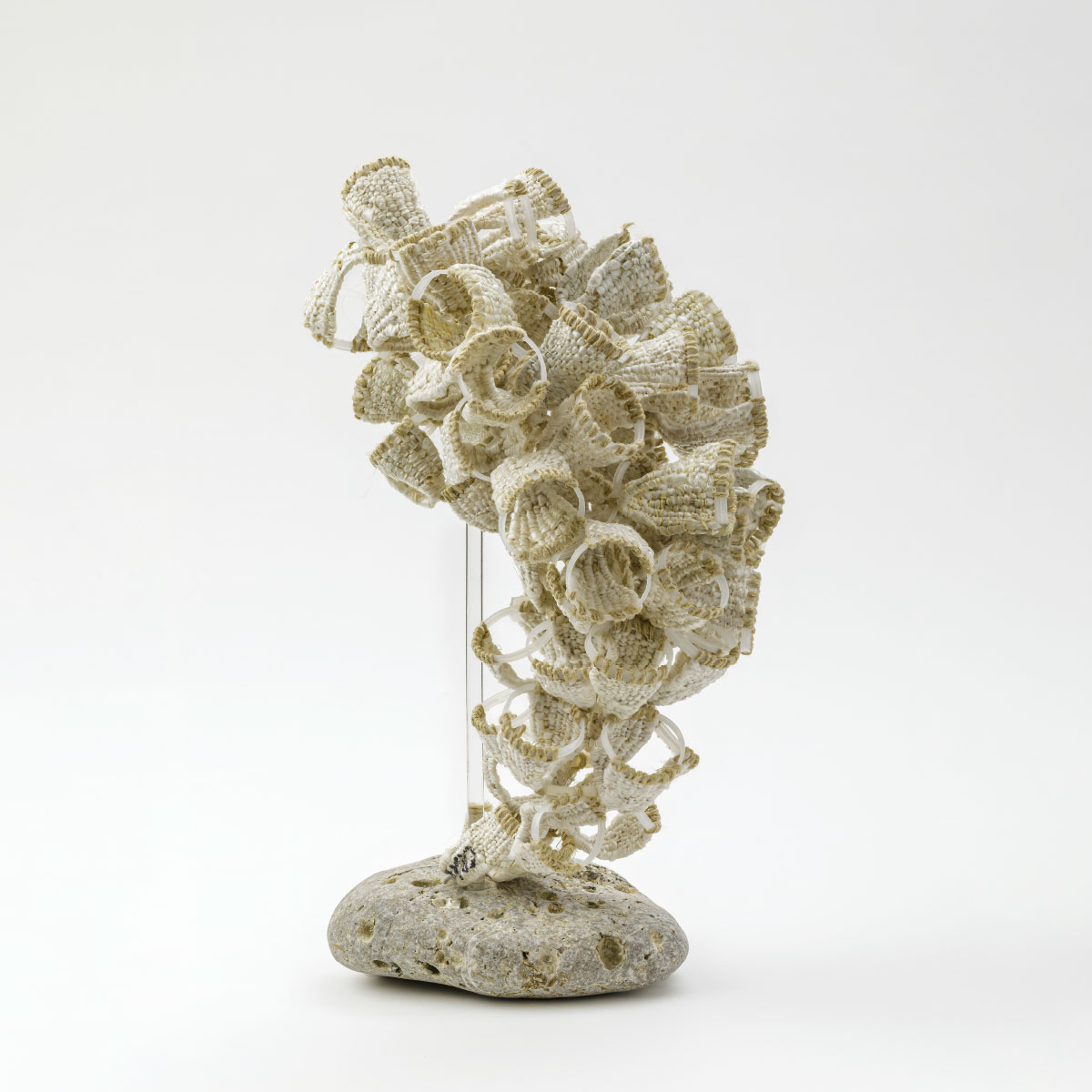 Cinzia Li Volsi Sculpture Growth plastic bottle rings old shopping bags Italiano Plurale