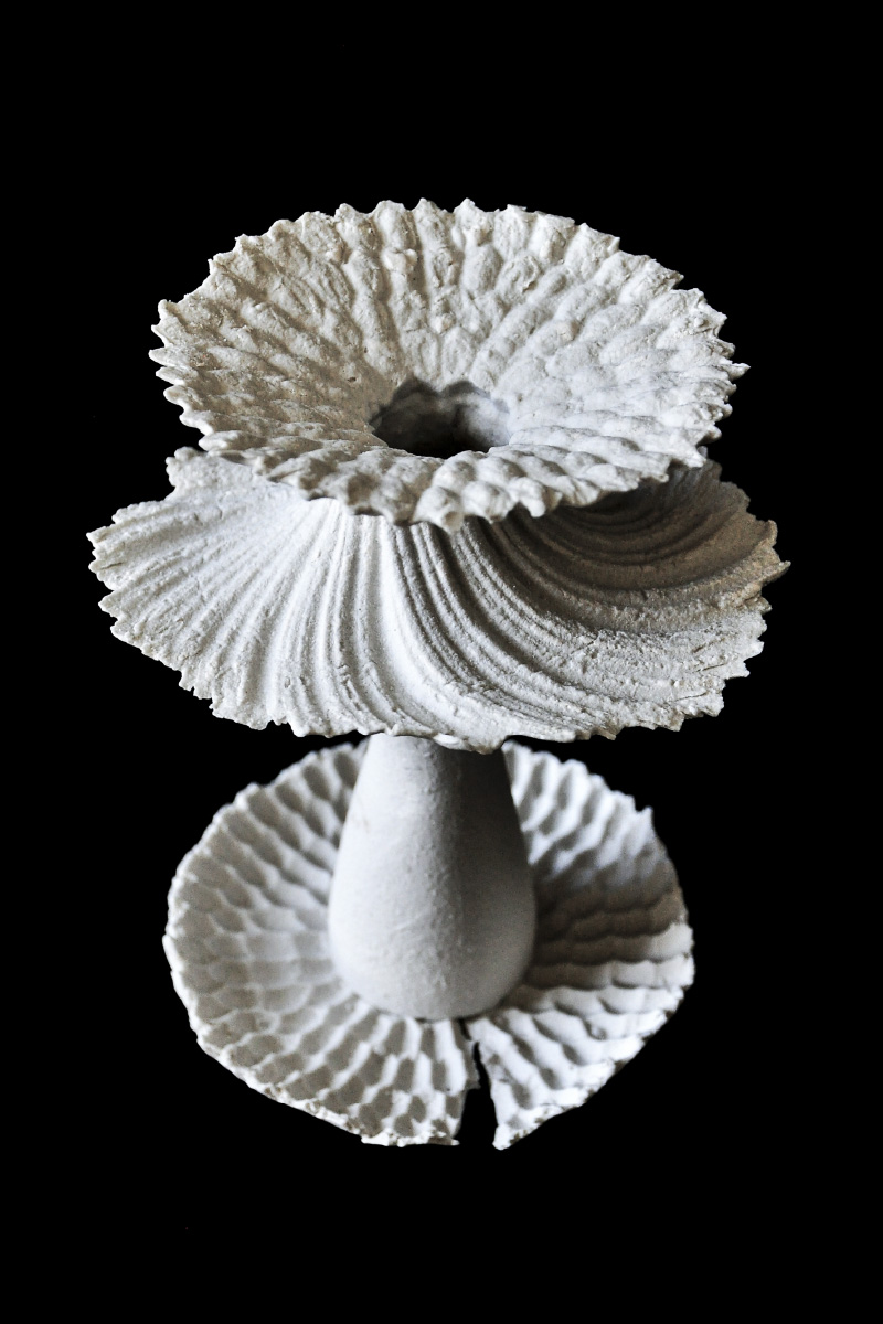 Chiara Ricardi Opuntia Speiroidea Biomorphic contemporary porcelain sculpture Italiano Plurale
