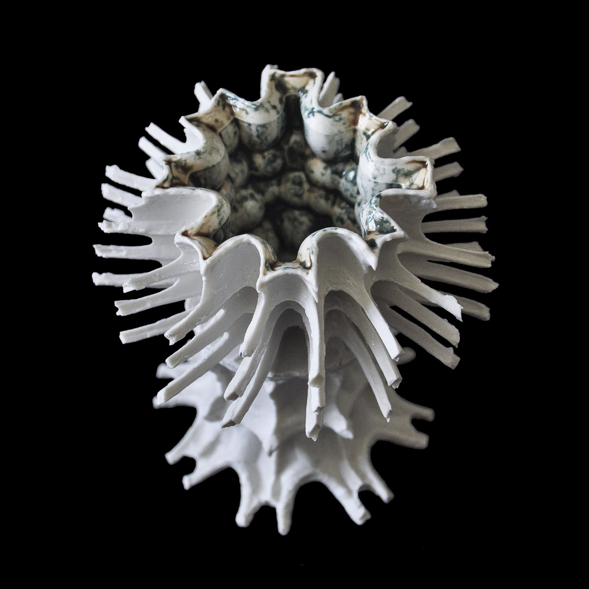 Single element Cabinet of Curiosities porcelain sculpture Chiara Ricardi